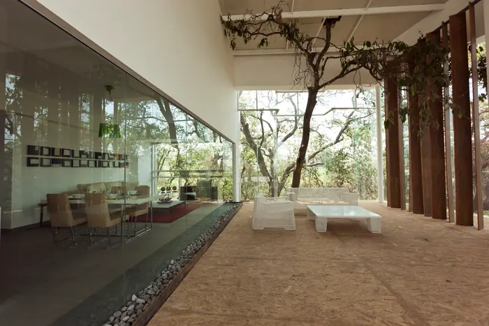 Terraza con árbol que atraviesa el piso