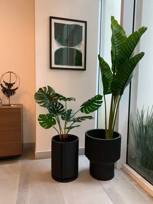 Rincón con plantas en macetas negras y arte botánico