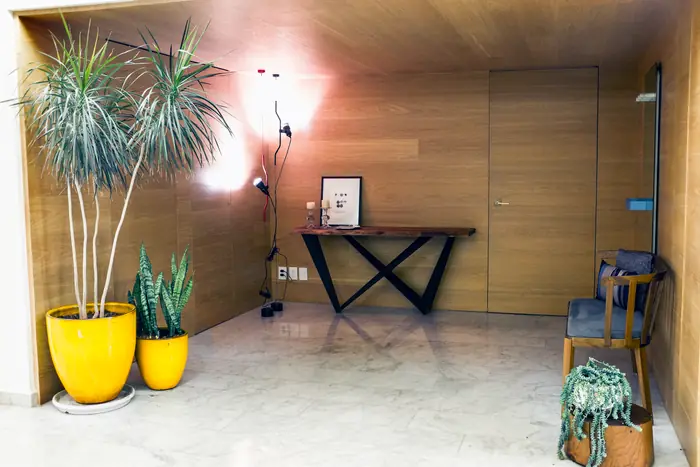 Vestíbulo con muro de madera y plantas